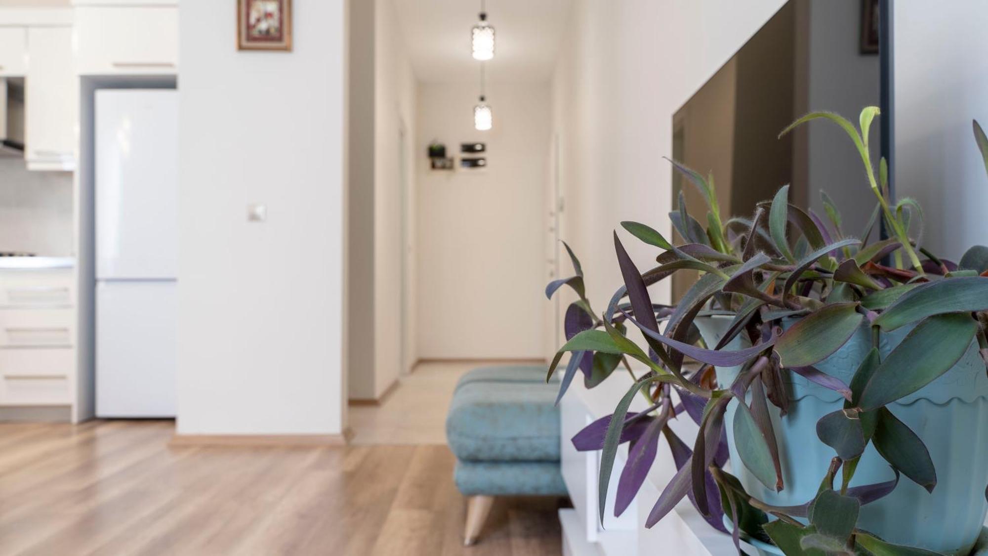 Apartment in Tbilisi “Green Budapest “ Bagian luar foto